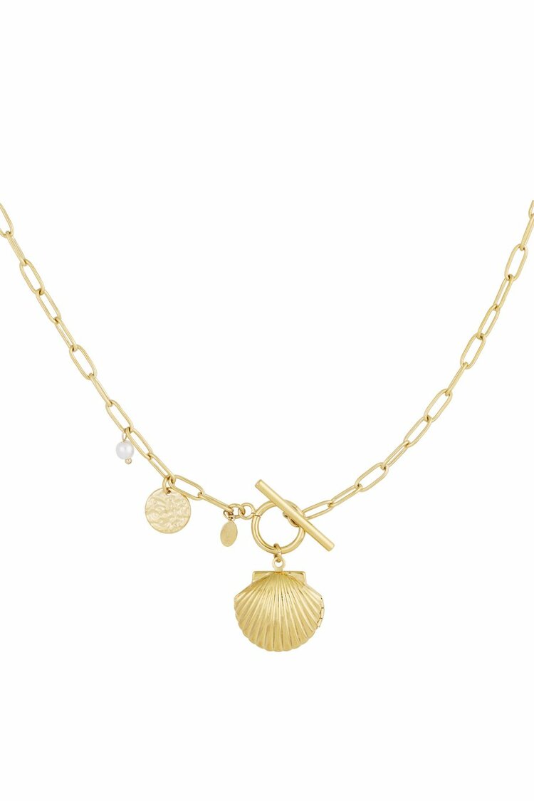 Chunky Shell Ketting Goud