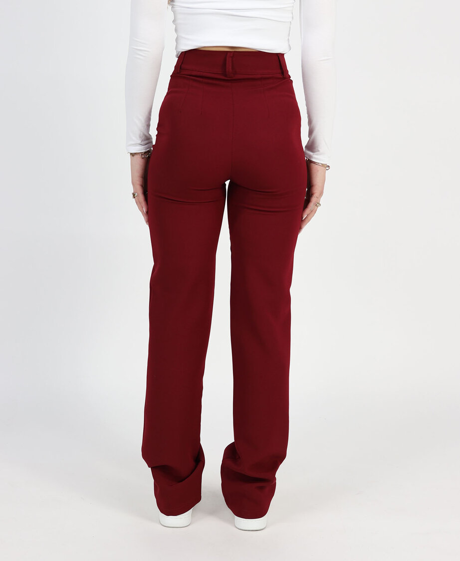 Sanne Pants Burgundy