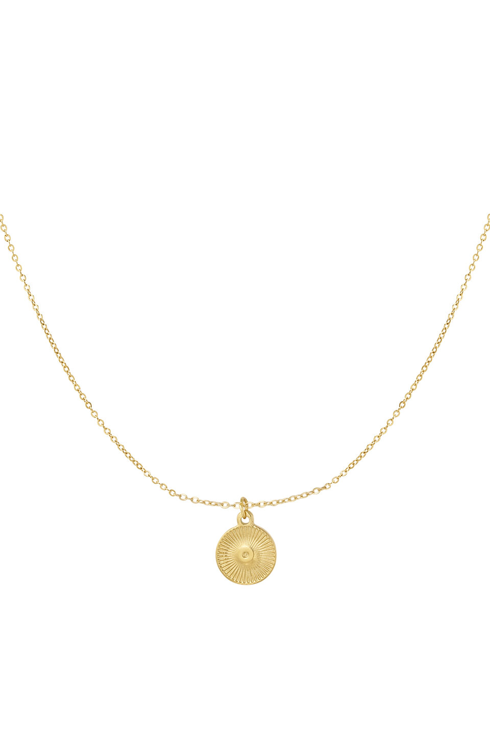 Coin Ketting Goud