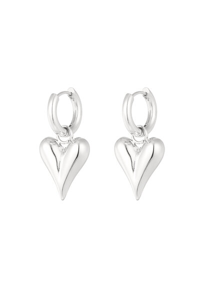 Titanium Heart Earrings Silver