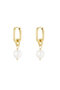 Earrings with pearl Gold